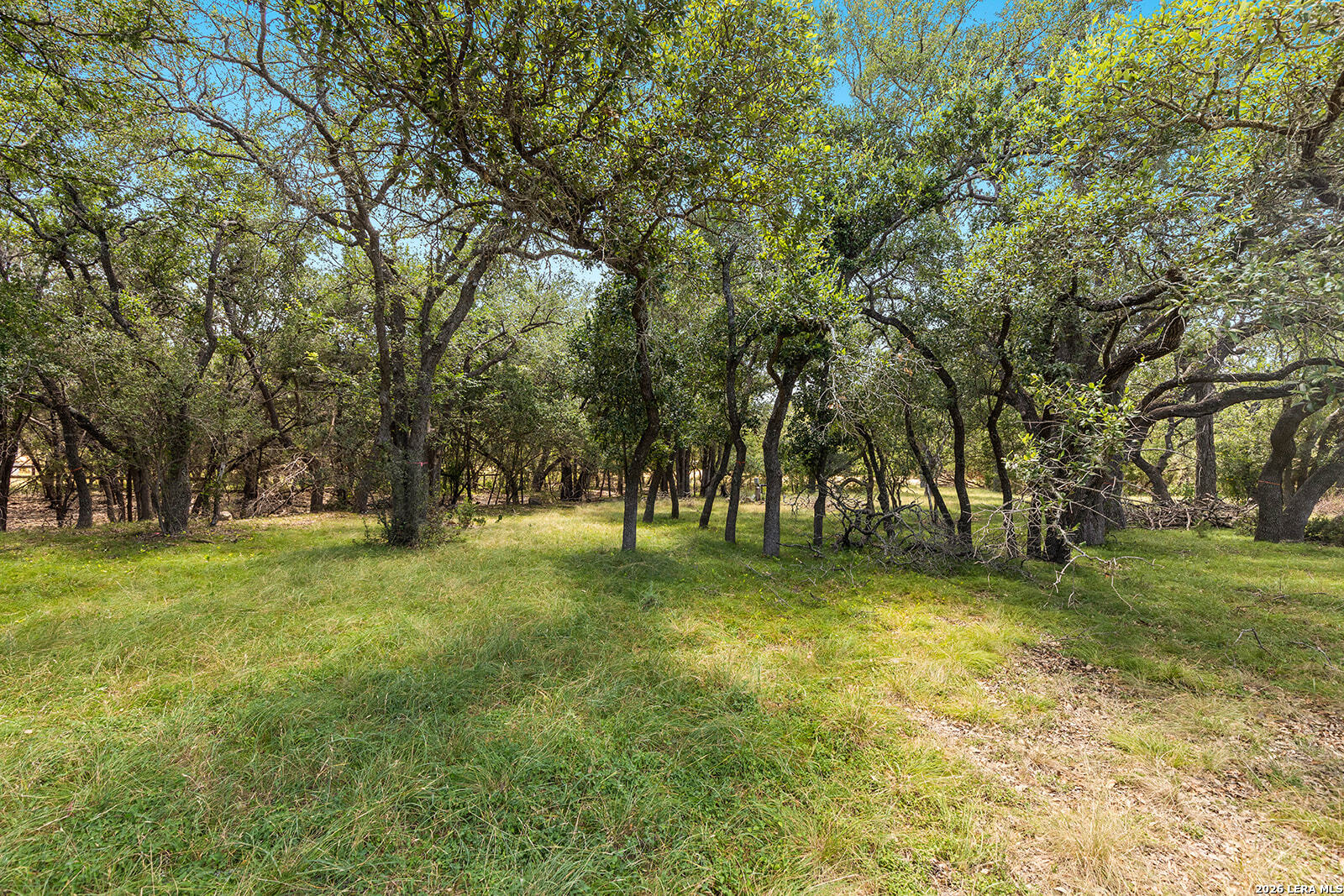 1187 Long Meadow Spring Branch TX 78070