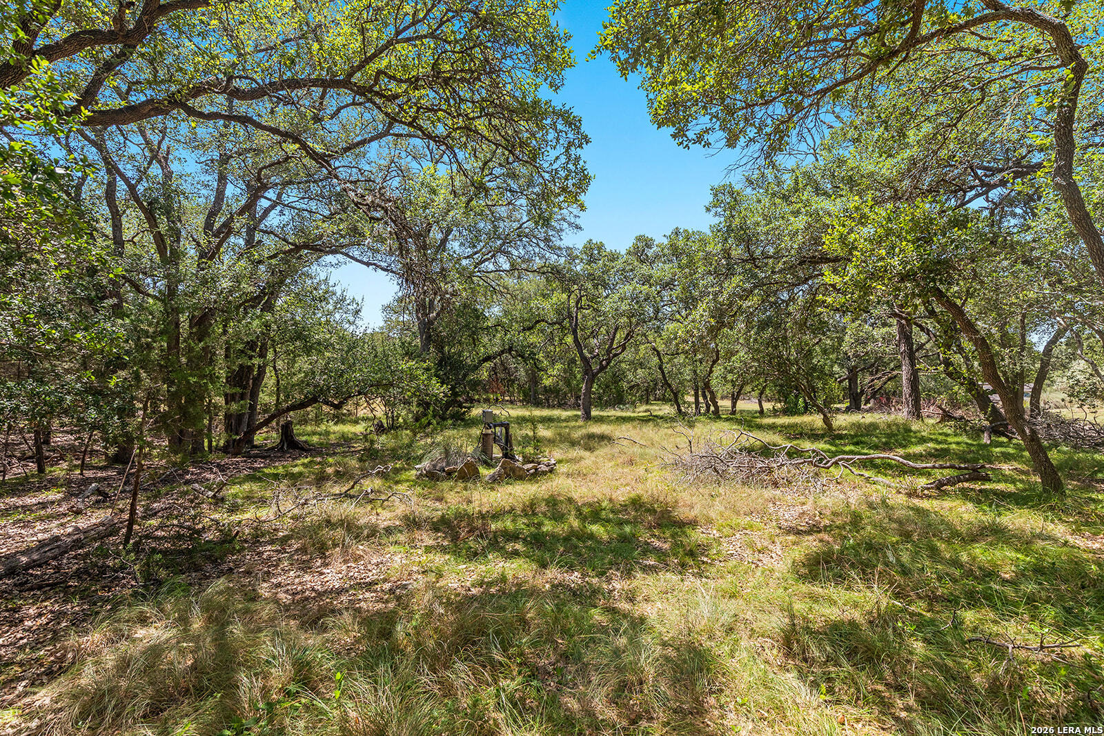 1187 Long Meadow Spring Branch TX 78070