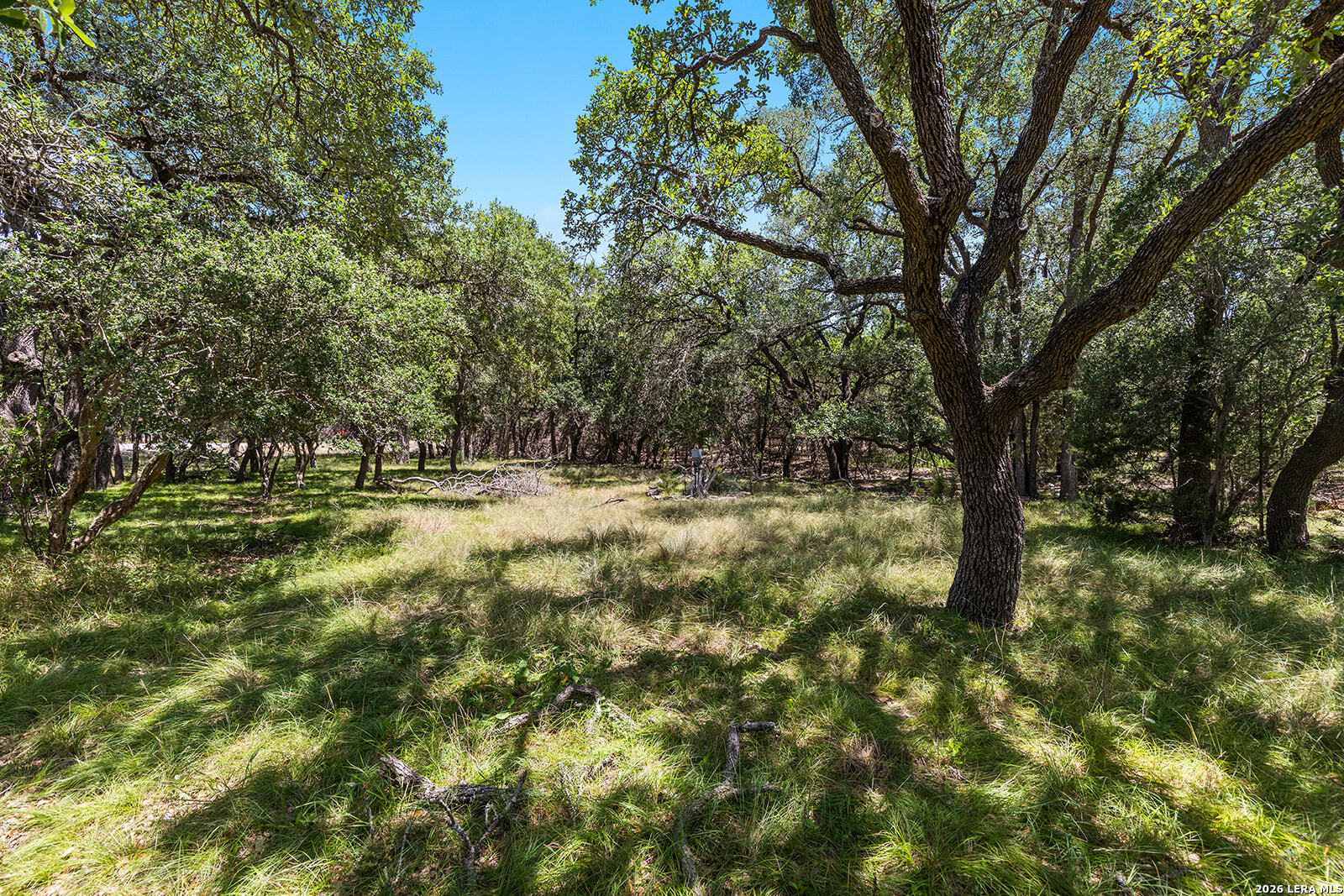 1187 Long Meadow Spring Branch TX 78070