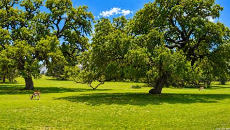 0 Woodview Circle Bandera TX 78003