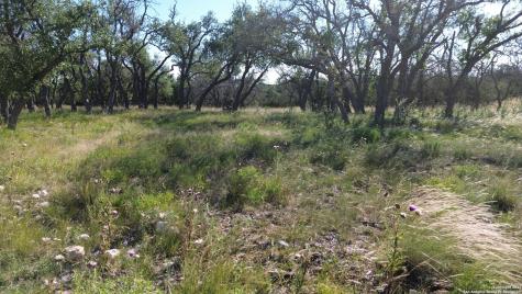 Lot 10 Rustler Ridge Mountain Home TX 78058