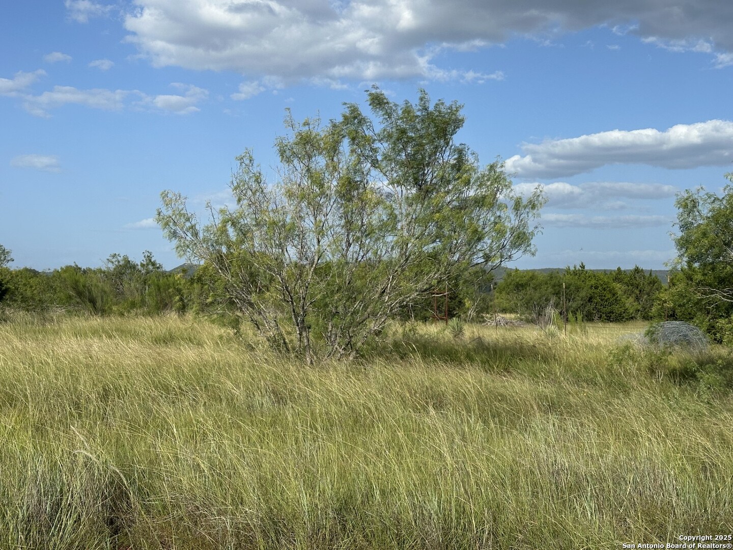 Tract 59 Fm 470 Tarpley TX 78883