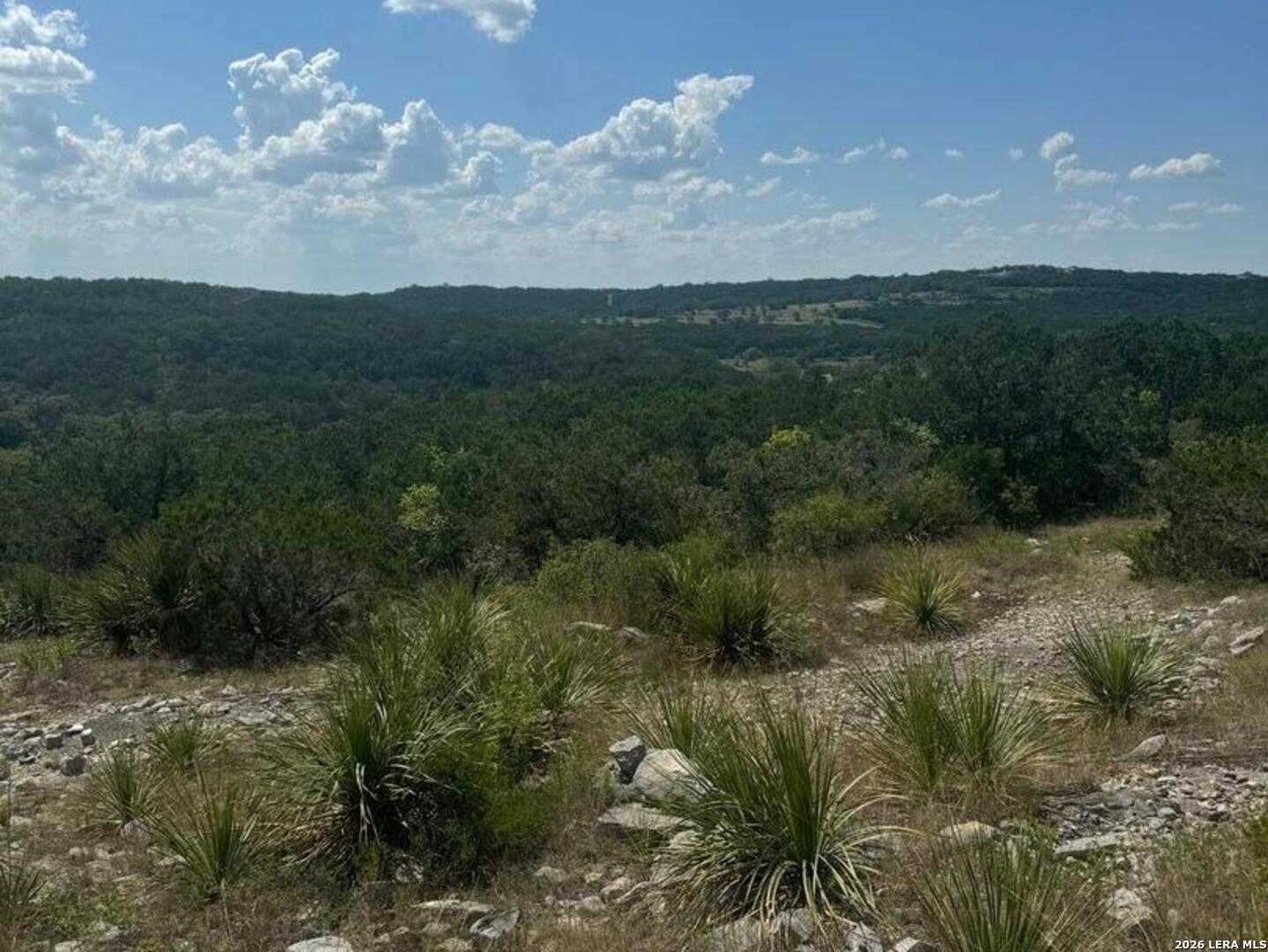 219 County Road 2741 Mico TX 78056