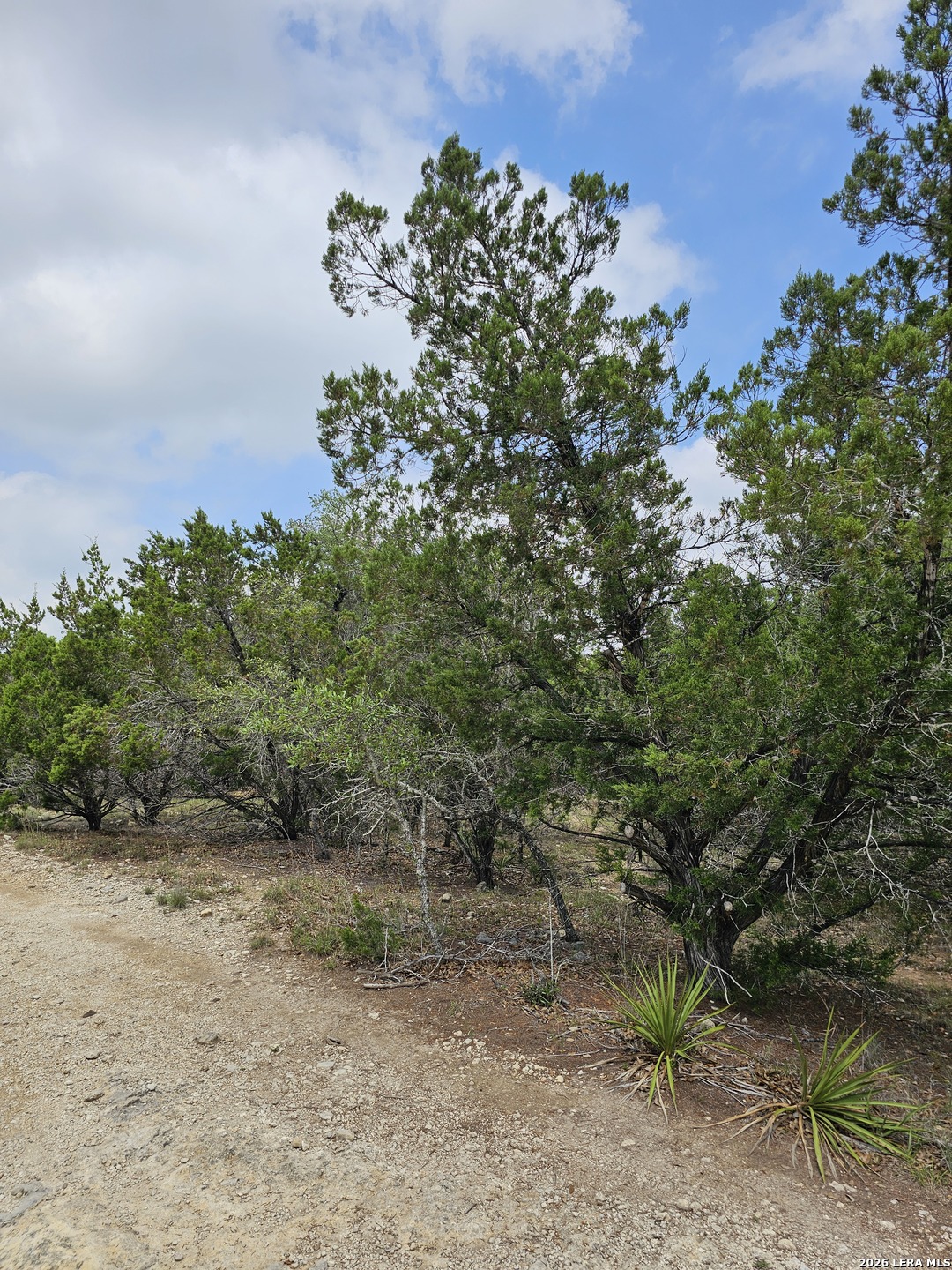 26 Street Lakehills TX 78063