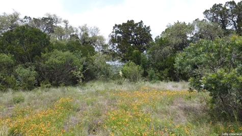 460 County Road 2753 Mico TX 78056
