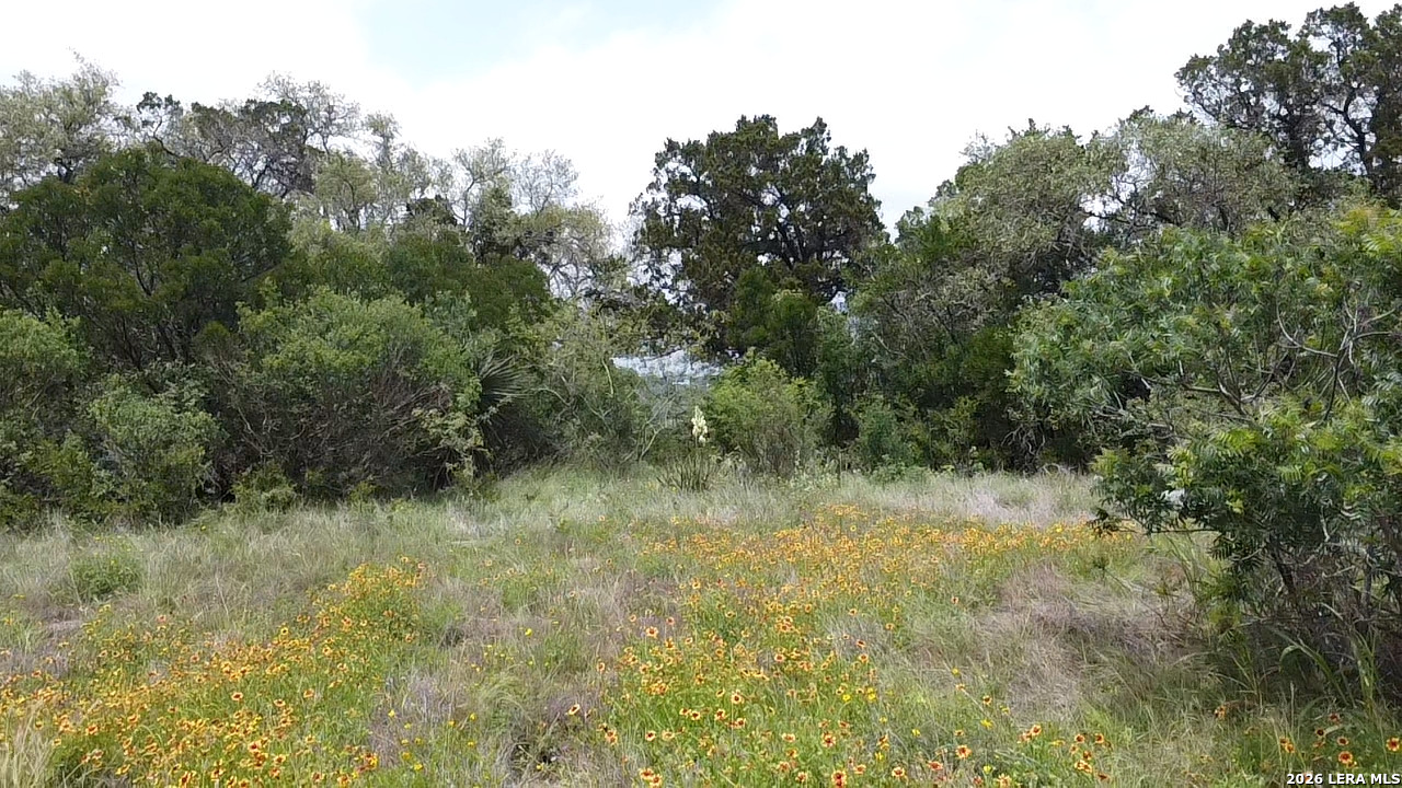 460 County Road 2753 Mico TX 78056