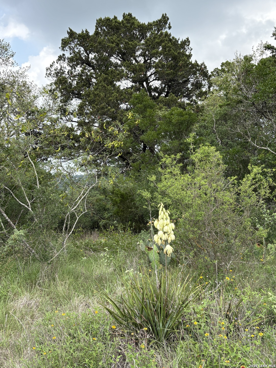 460 County Road 2753 Mico TX 78056