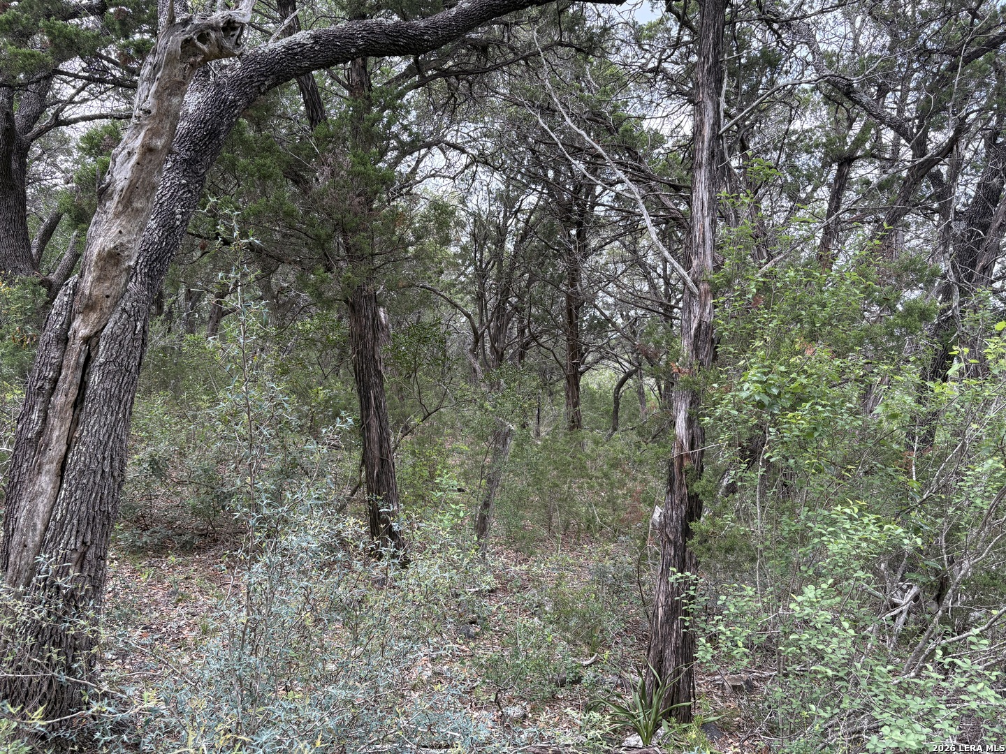 460 County Road 2753 Mico TX 78056