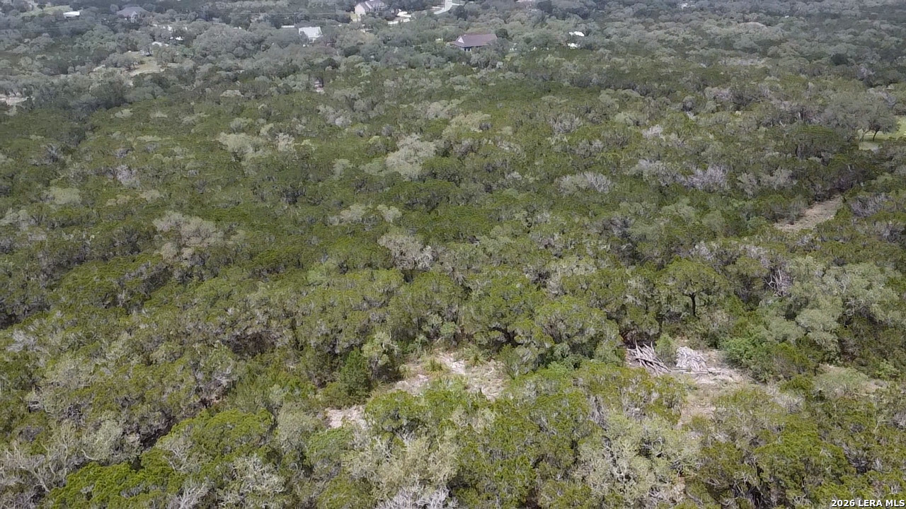 460 County Road 2753 Mico TX 78056