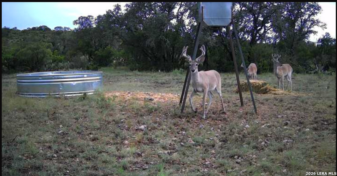 0 W Cr 450 Rocksprings TX 78880