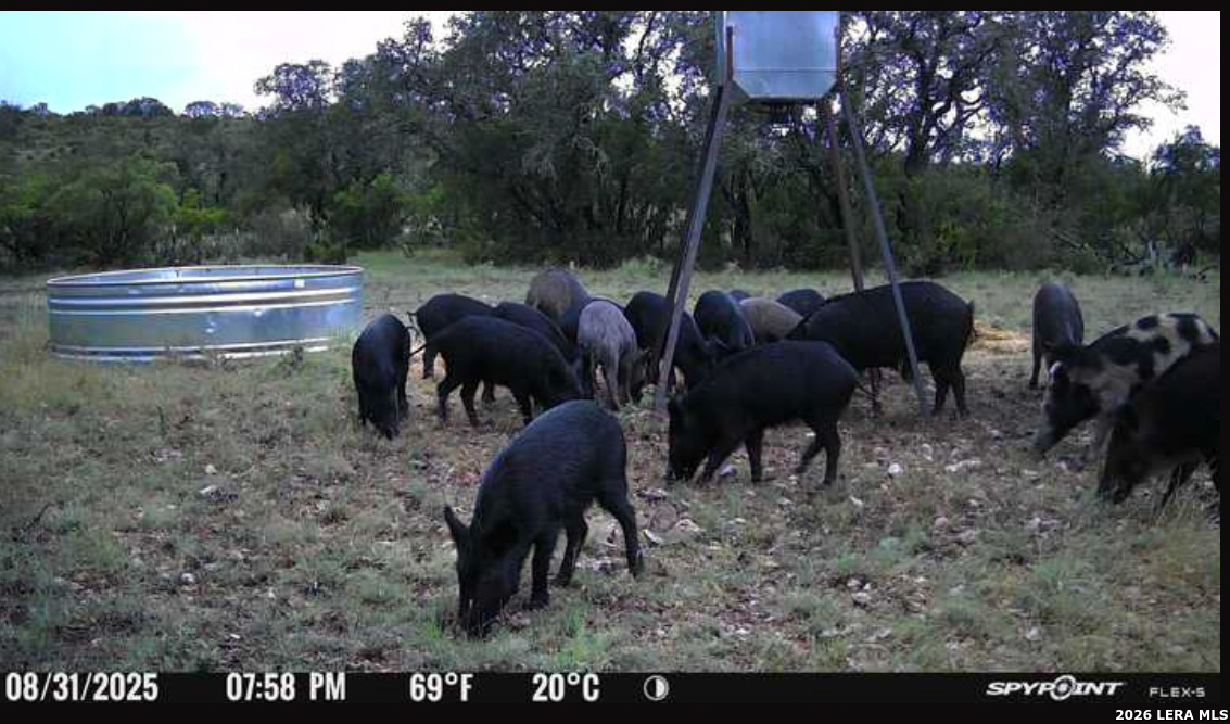 0 W Cr 450 Rocksprings TX 78880
