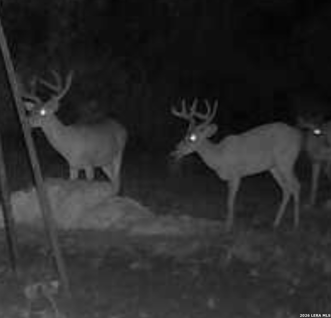 0 W Cr 450 Rocksprings TX 78880
