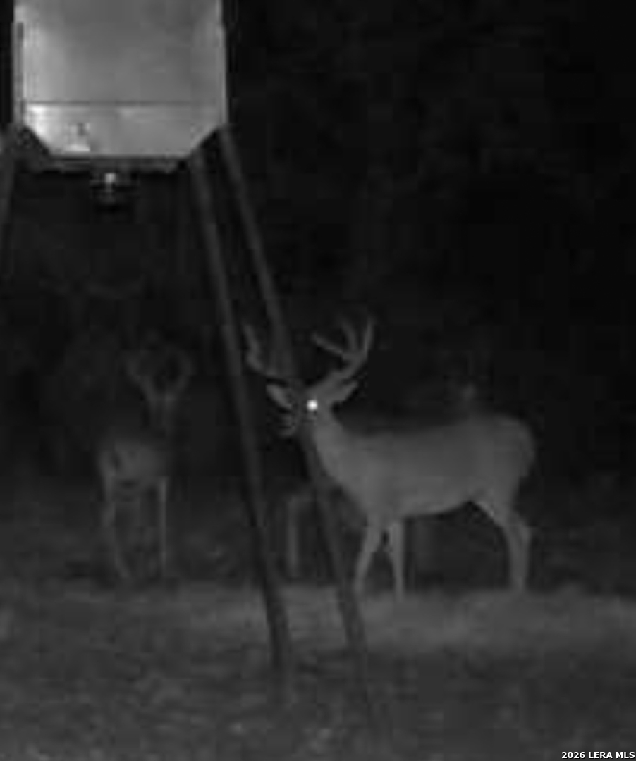 0 W Cr 450 Rocksprings TX 78880