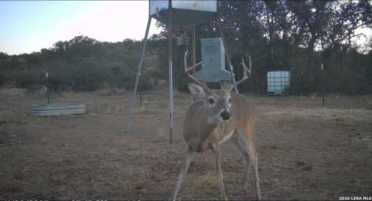 0 W Cr 450 Rocksprings TX 78880