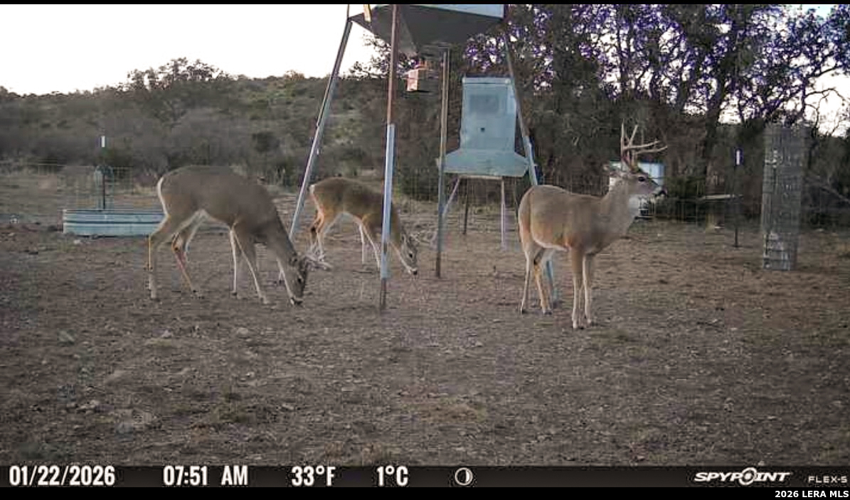 0 W Cr 450 Rocksprings TX 78880