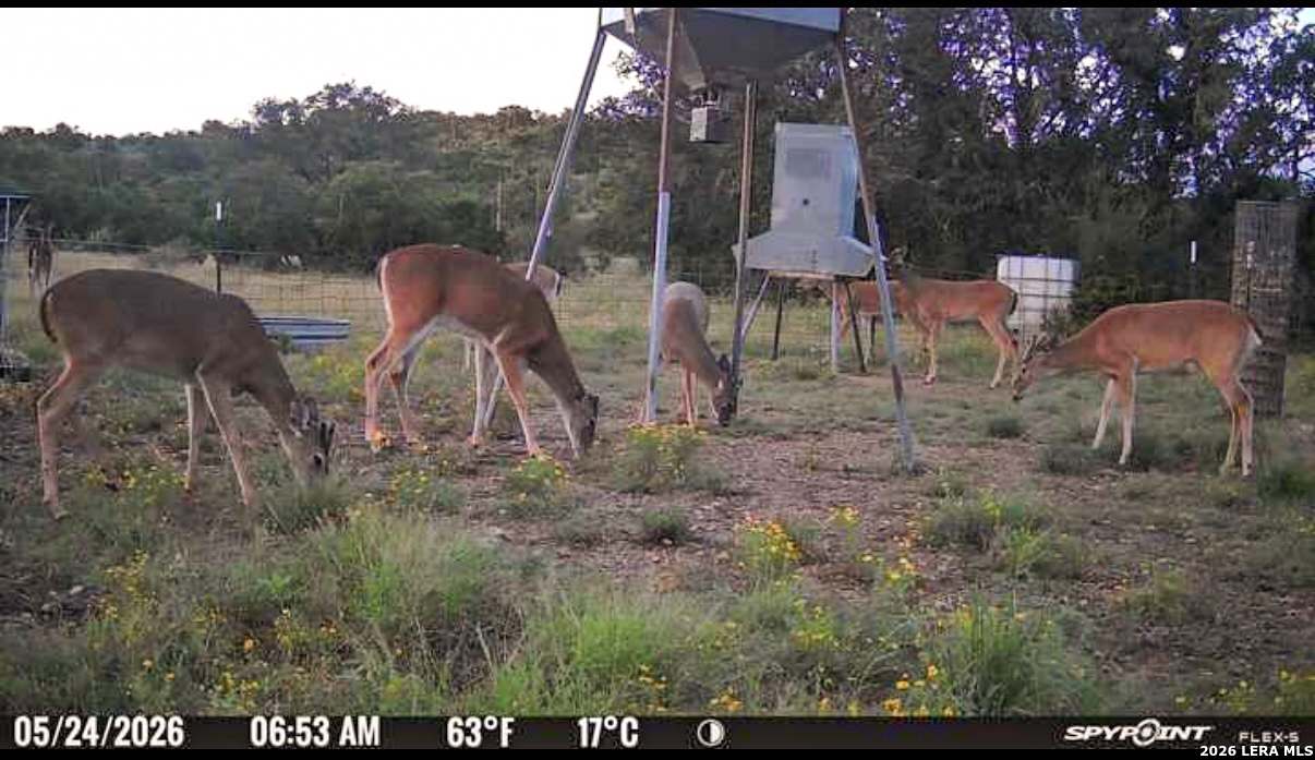 0 W Cr 450 Rocksprings TX 78880
