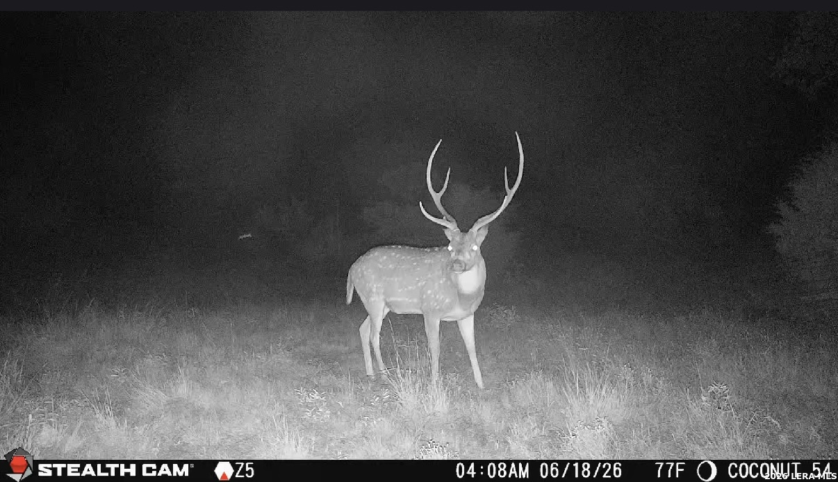 0 W Cr 450 Rocksprings TX 78880