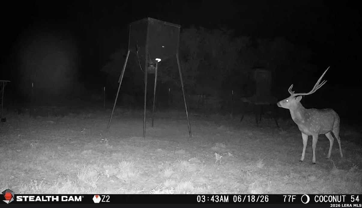 0 W Cr 450 Rocksprings TX 78880