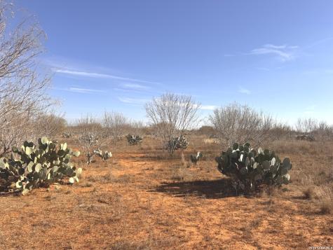 Trail 1 W Highway 85 Dilley TX 78017