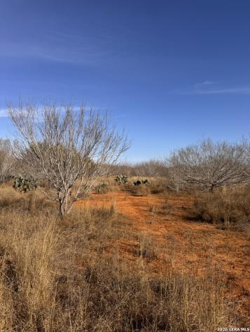 Trail 1 W Highway 85 Dilley TX 78017