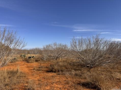 Trail 1 W Highway 85 Dilley TX 78017