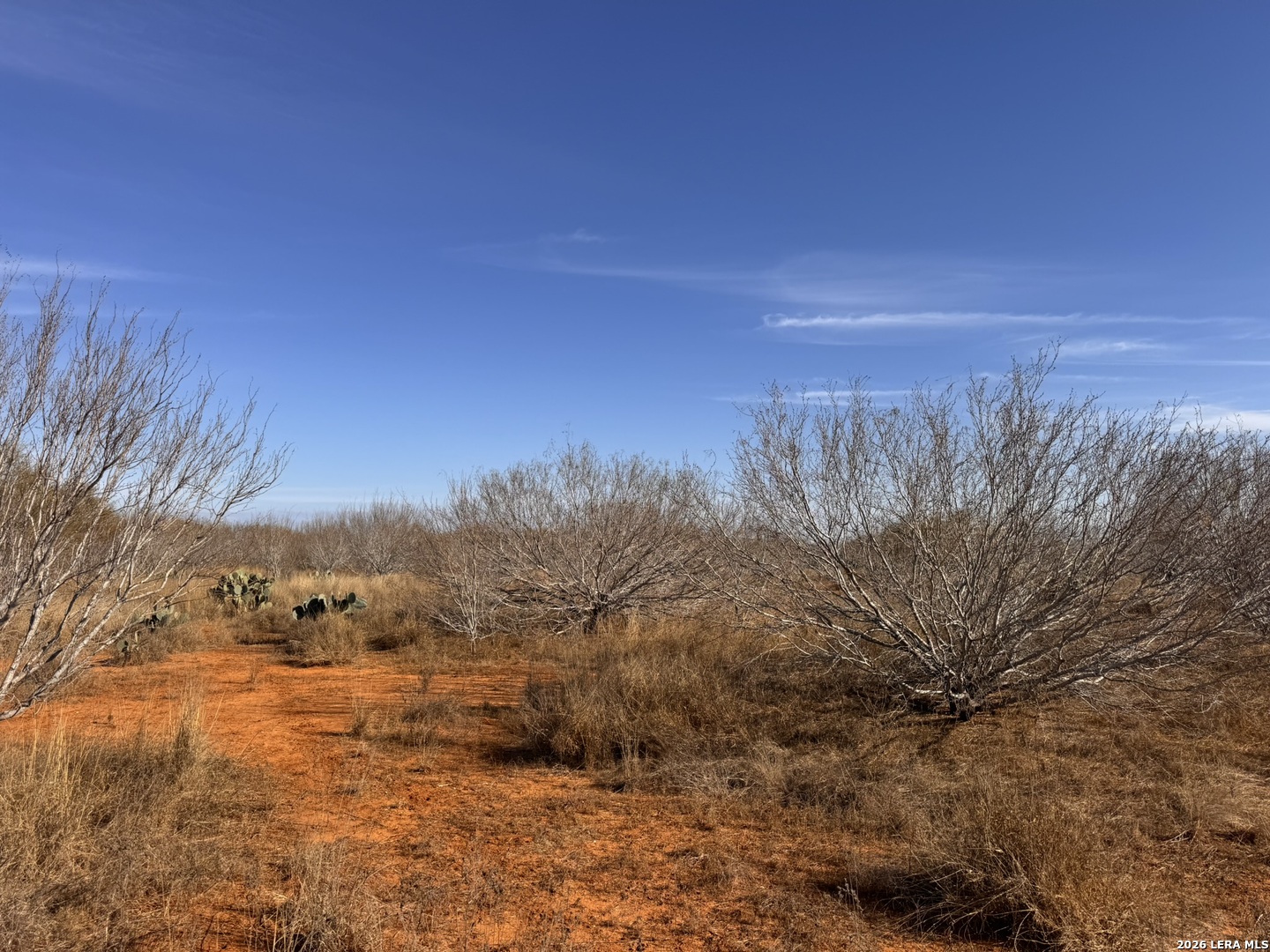 Tr 1 W Highway 85 Dilley TX 78017
