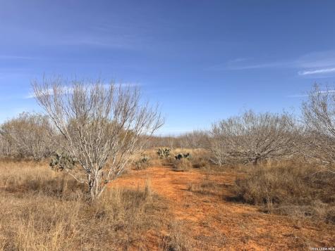 Trail 1 W Highway 85 Dilley TX 78017
