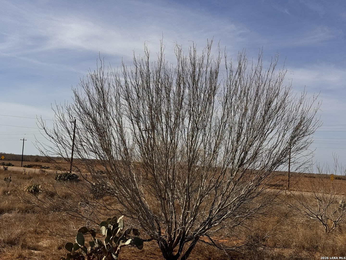 Tr 1 W Highway 85 Dilley TX 78017