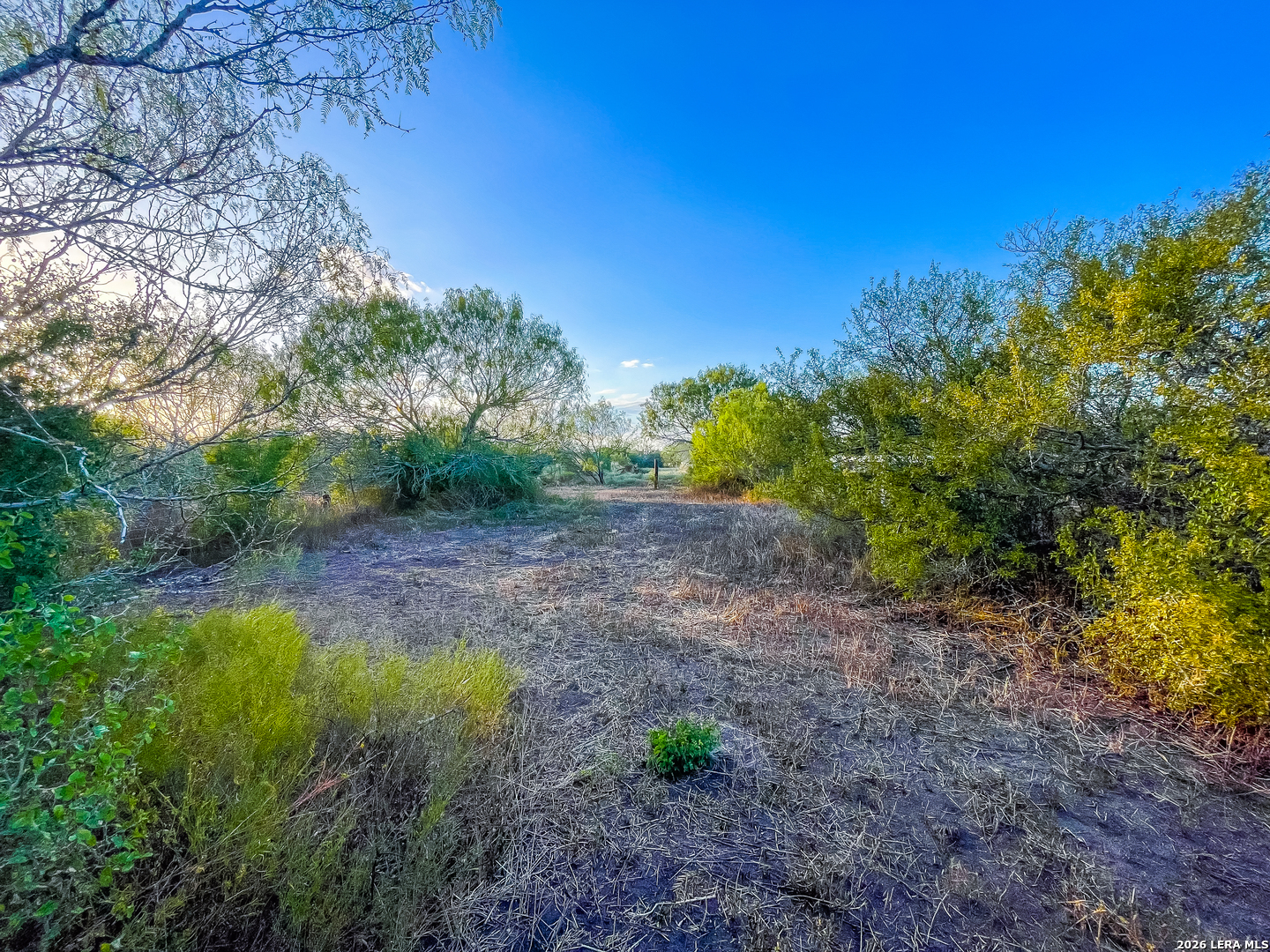 3756 Elm Drive Beeville TX 78102