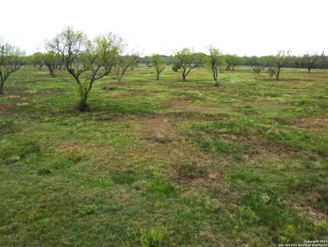 Tbd Desert Willow Drive Hondo TX 78861