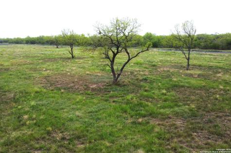 Tbd Desert Willow Drive Hondo TX 78861