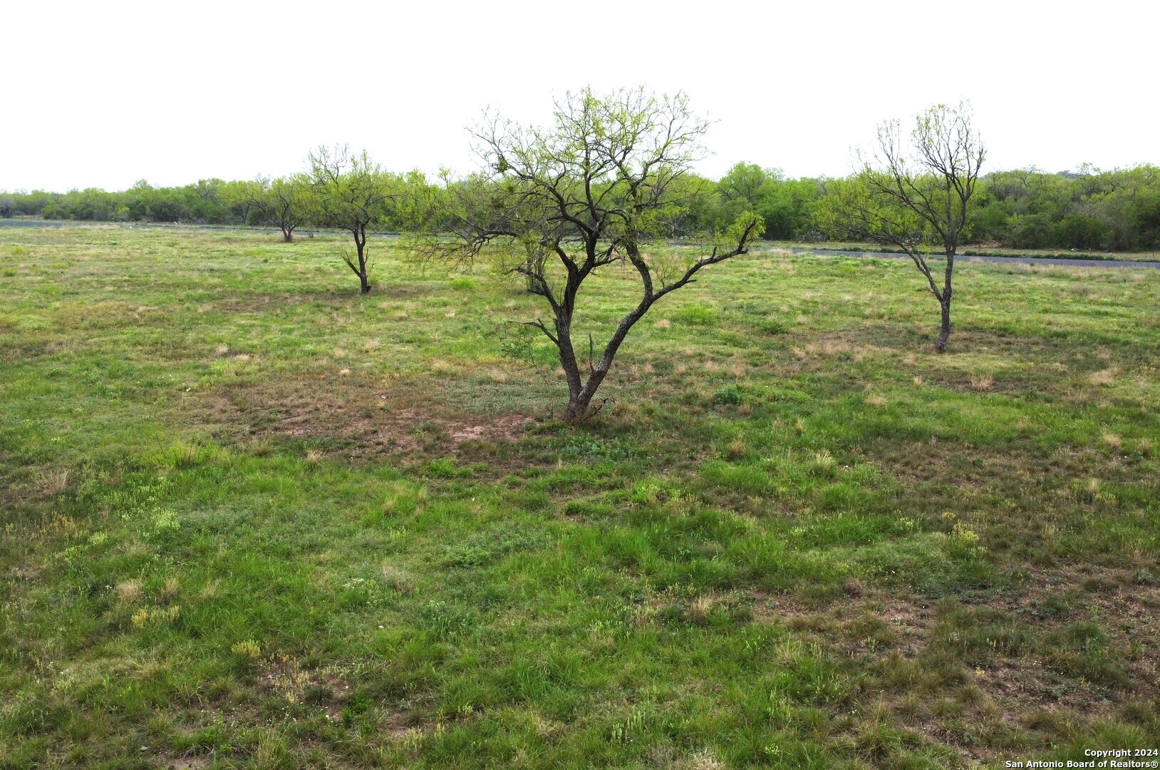Tbd Desert Willow Drive Hondo TX 78861