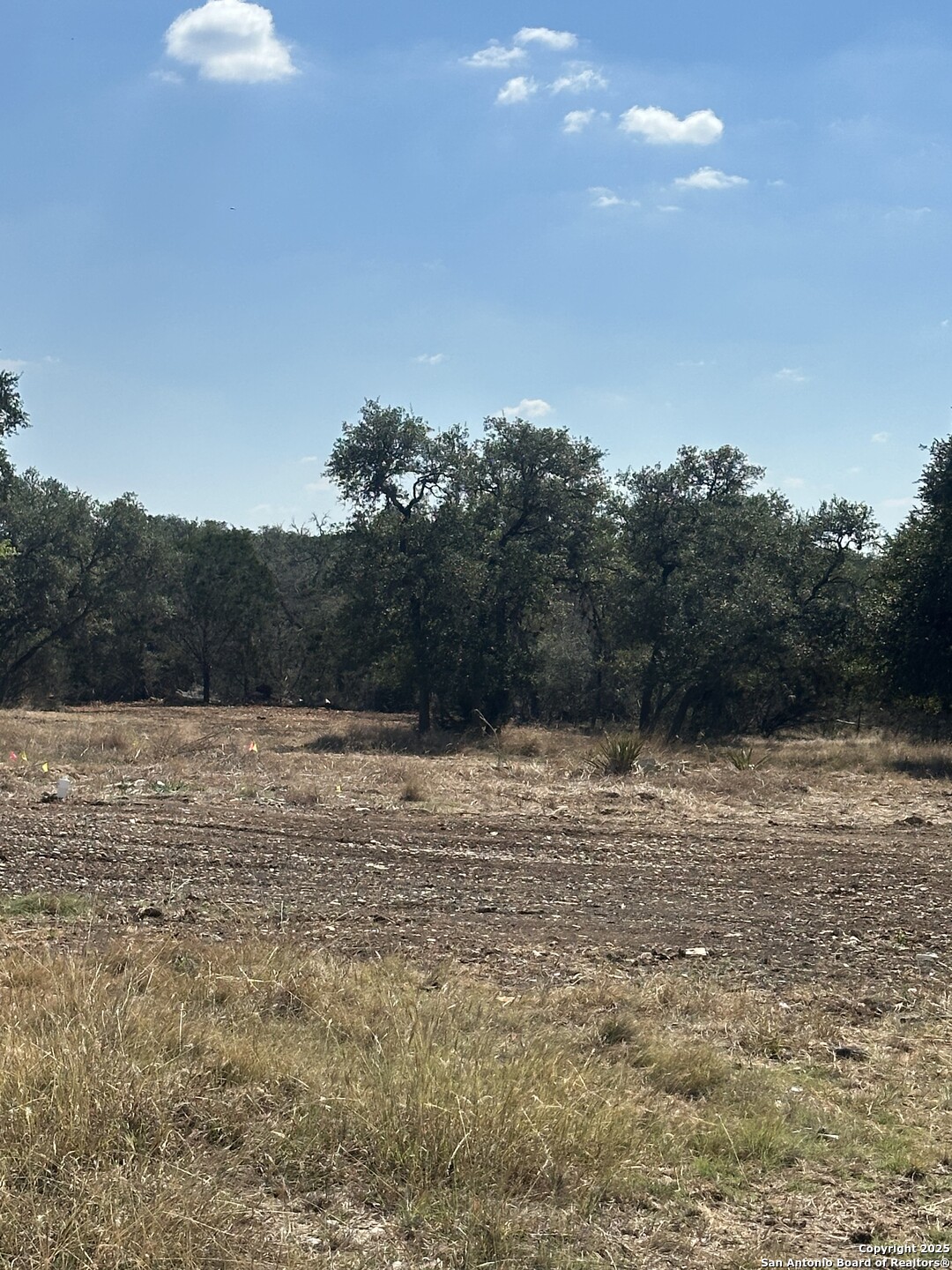 395 Rohrbuch Pipe Creek TX 78063