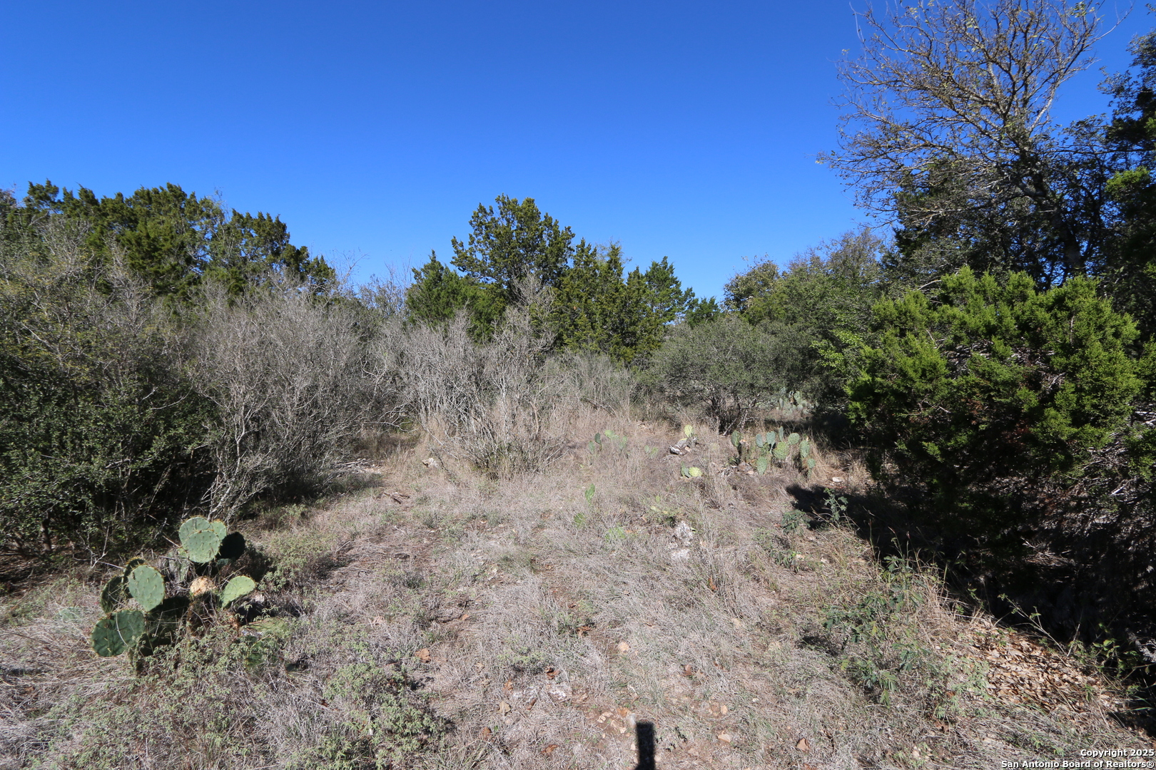 22047 Angostura San Antonio TX 78261