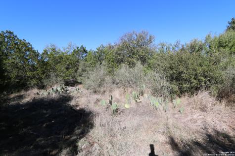 22047 Angostura San Antonio TX 78261