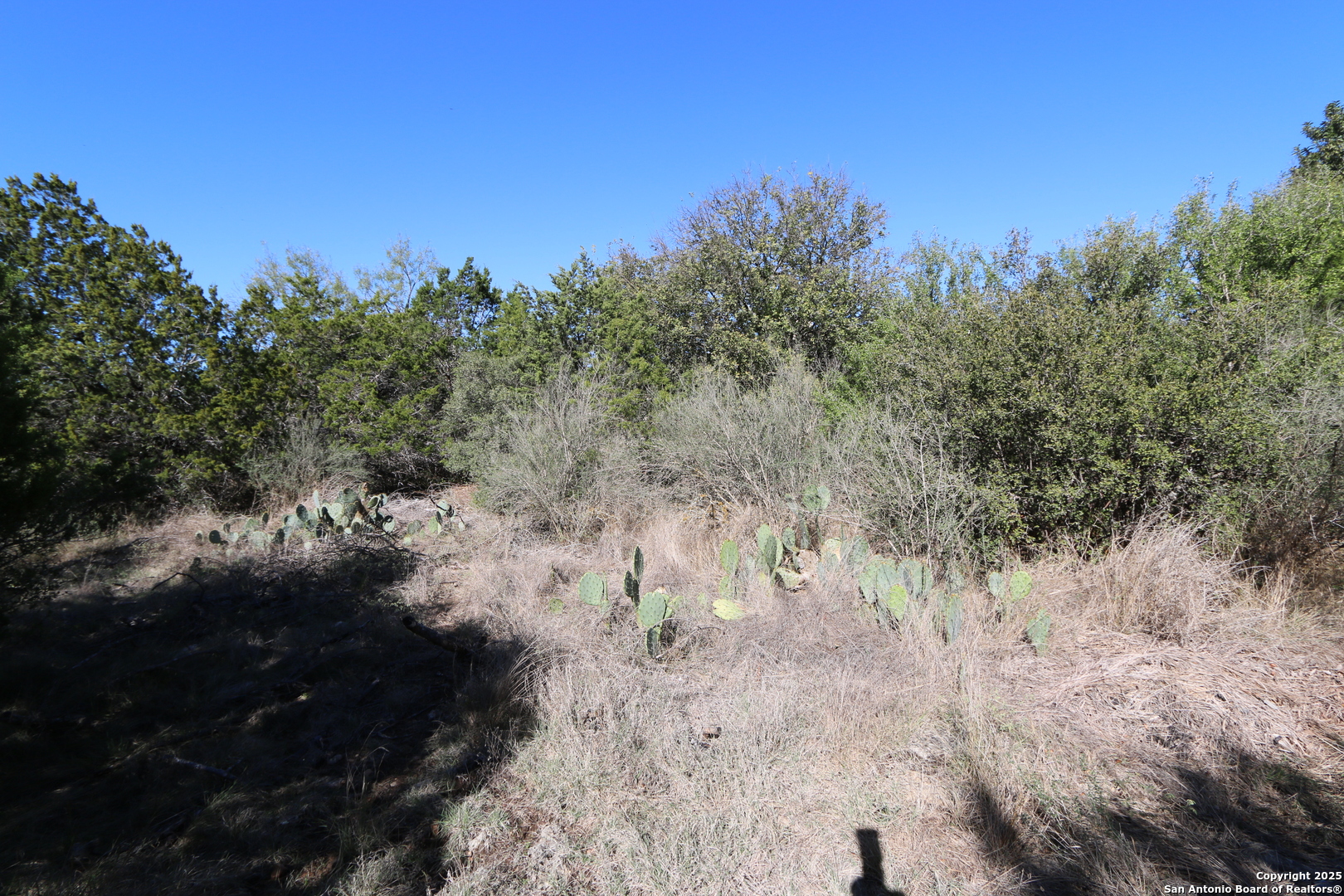 22047 Angostura San Antonio TX 78261