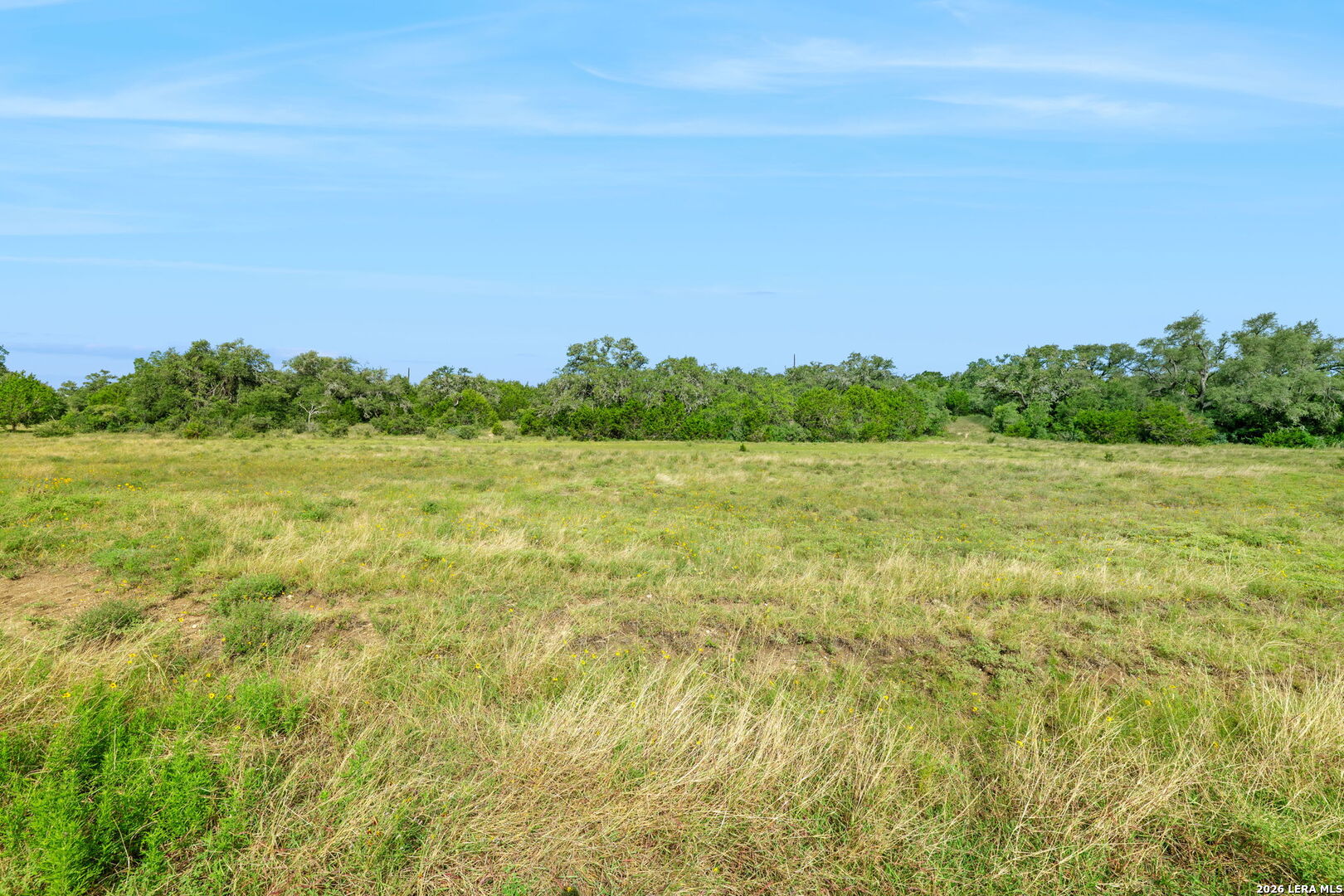 225 Doehne Oaks New Braunfels TX 78132