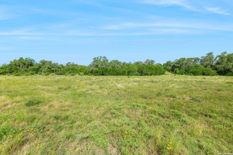 225 Doehne Oaks New Braunfels TX 78132