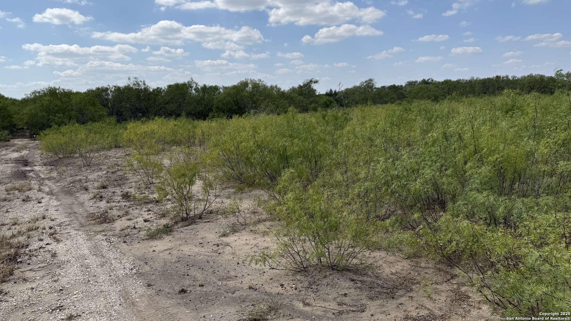 788 County Road 154 Pleasanton TX 78064