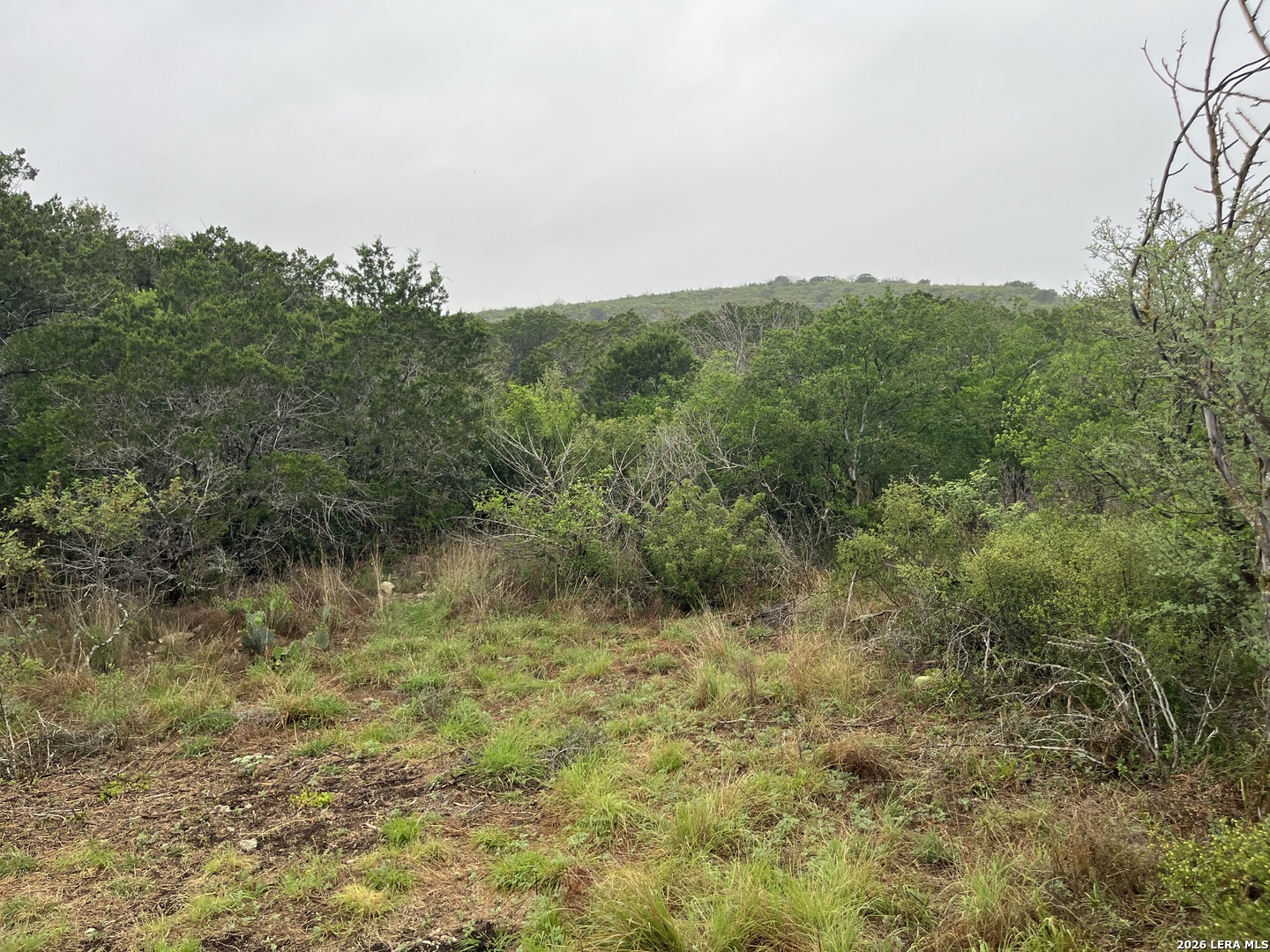 111 Pr 3325 Uvalde TX 78838