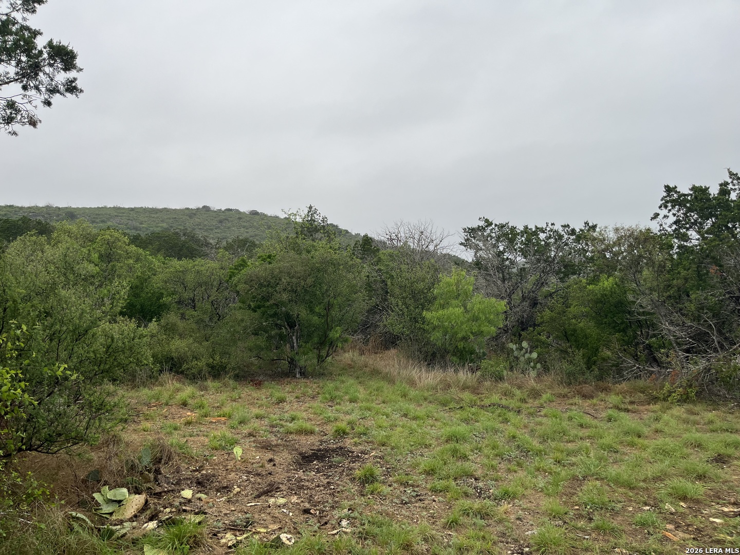 111 Pr 3325 Uvalde TX 78838