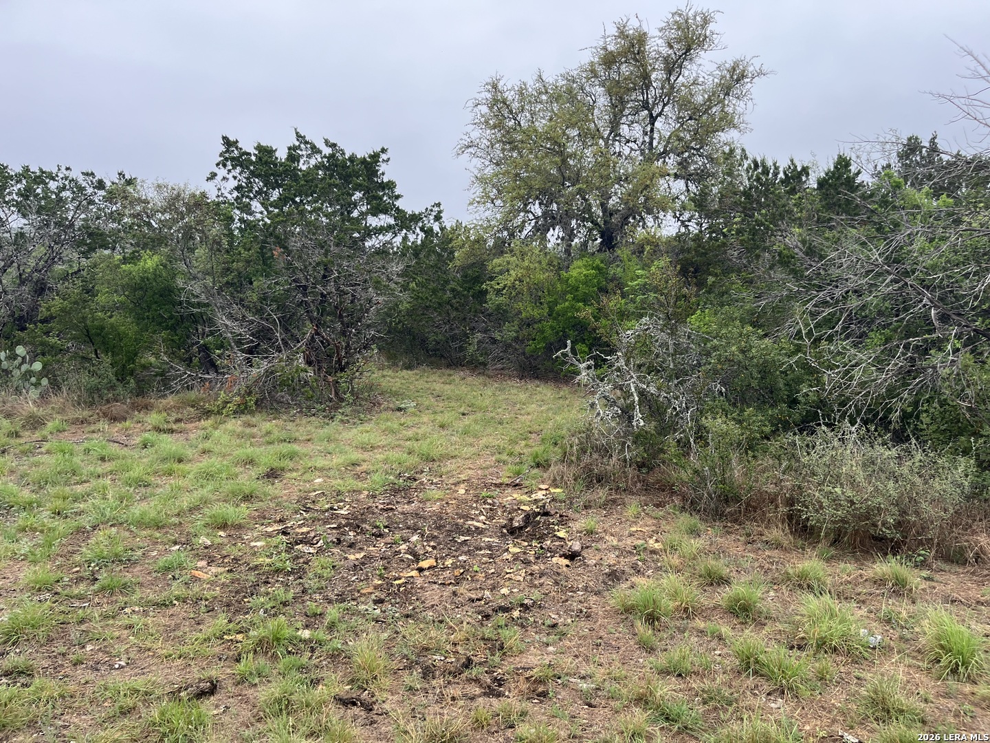 111 Pr 3325 Uvalde TX 78838