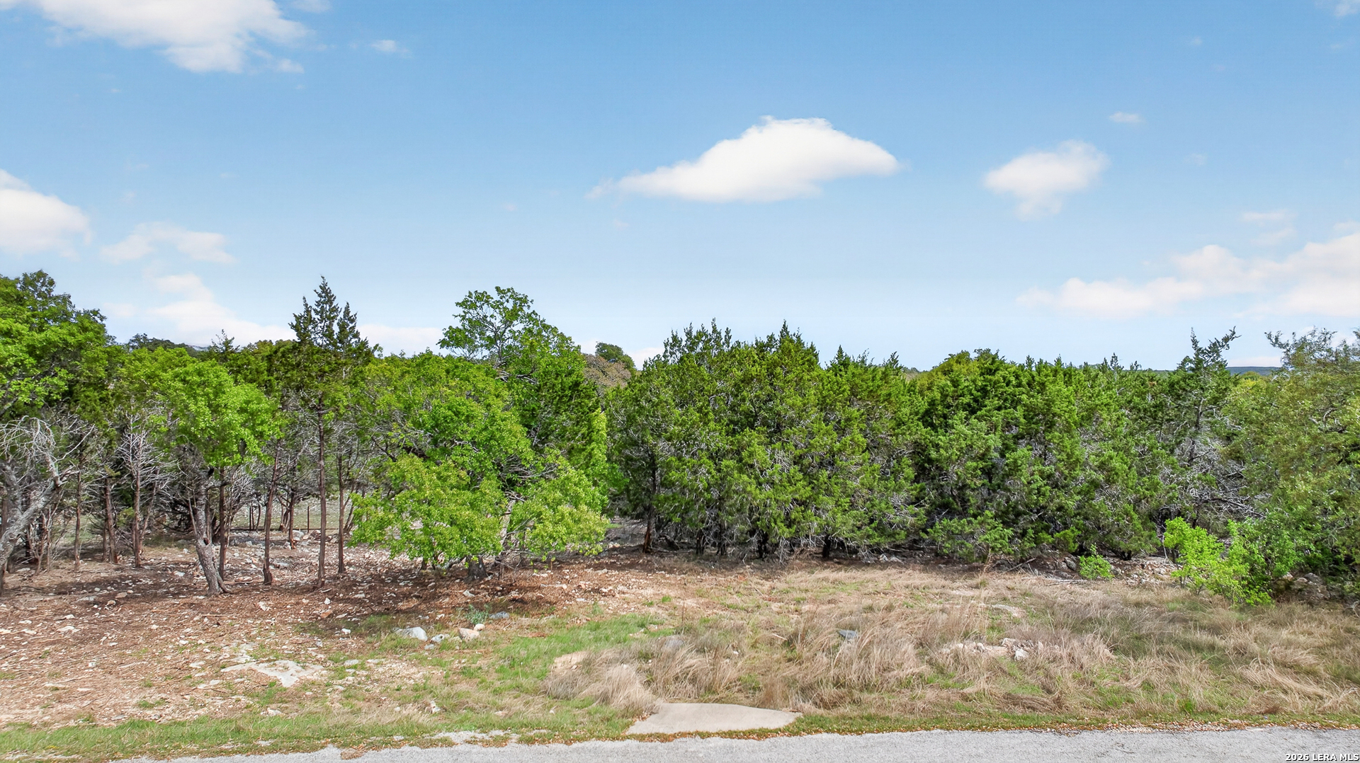 109 Asa Harold Blanco TX 78606