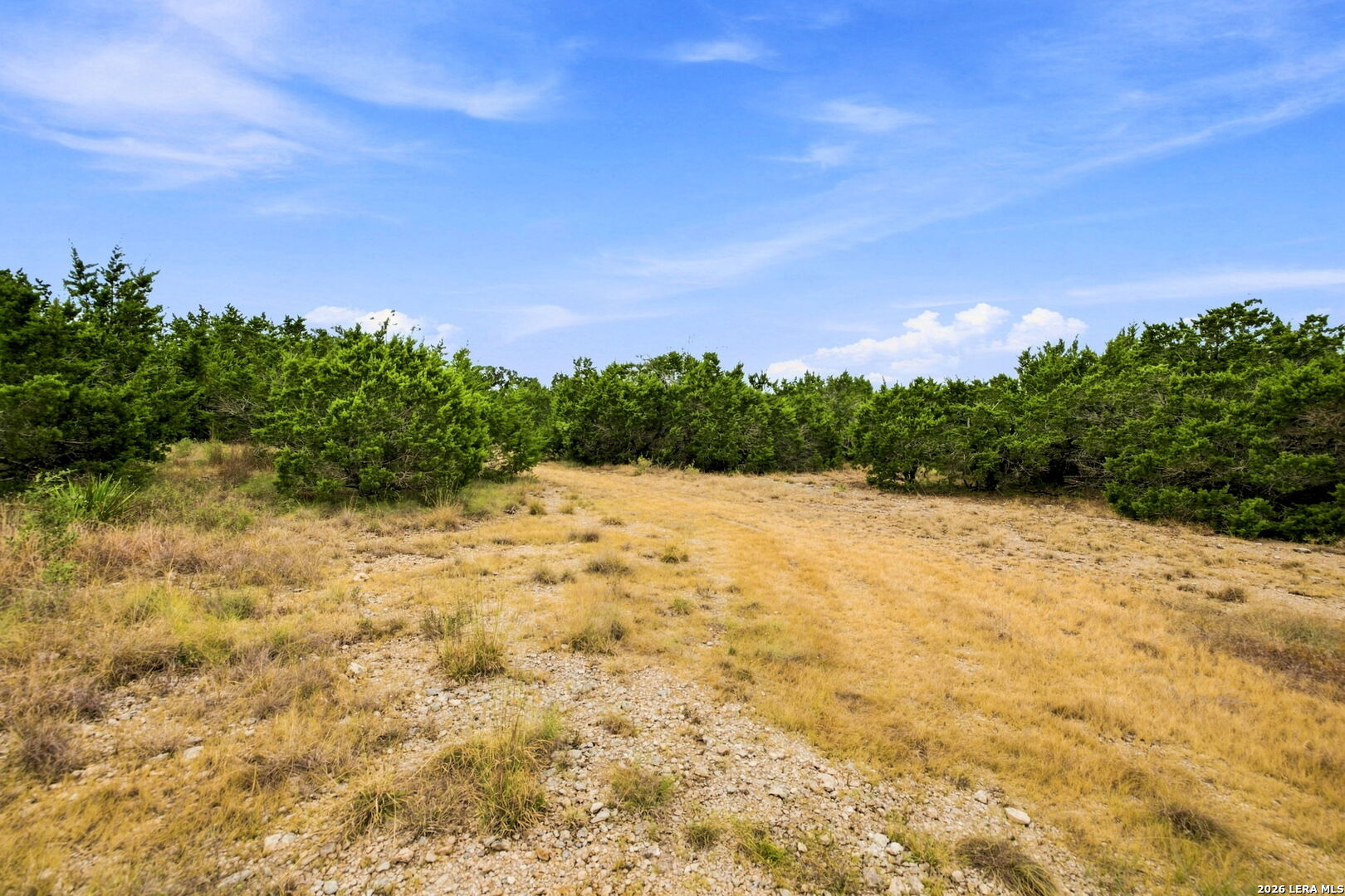 654 Travis Forest Drive Bulverde TX 78163