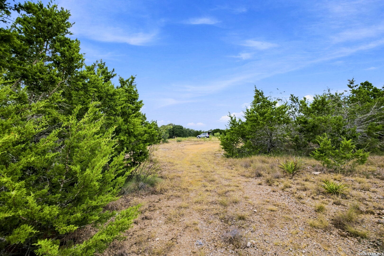 654 Travis Forest Drive Bulverde TX 78163