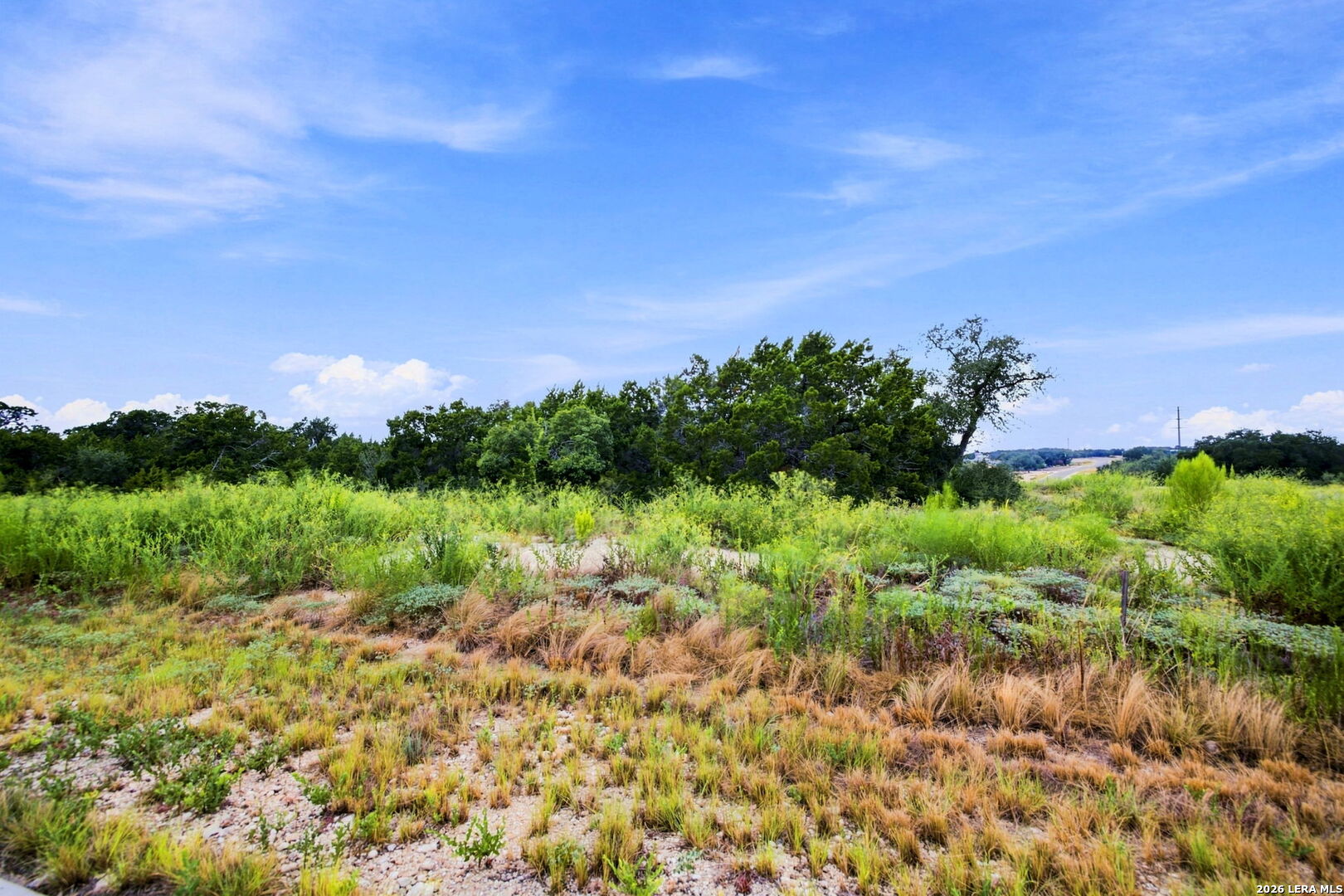 654 Travis Forest Drive Bulverde TX 78163