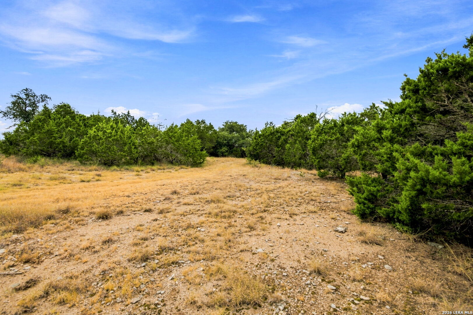 654 Travis Forest Drive Bulverde TX 78163