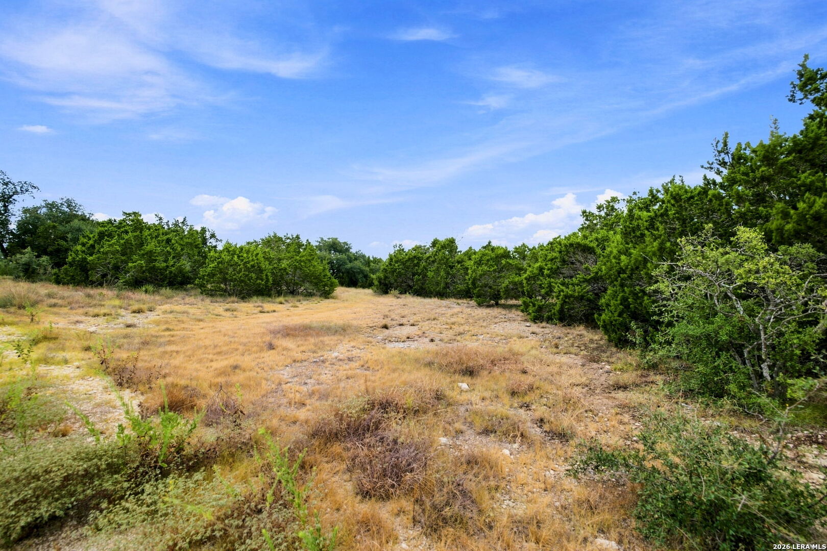 654 Travis Forest Drive Bulverde TX 78163