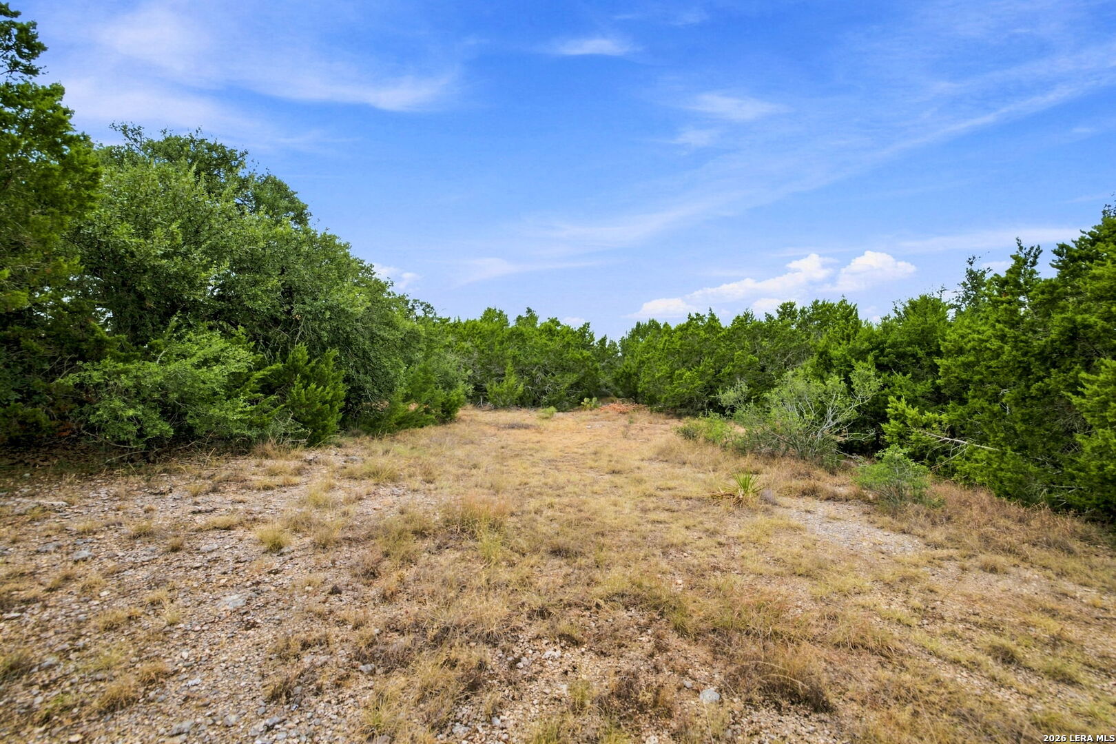 654 Travis Forest Drive Bulverde TX 78163
