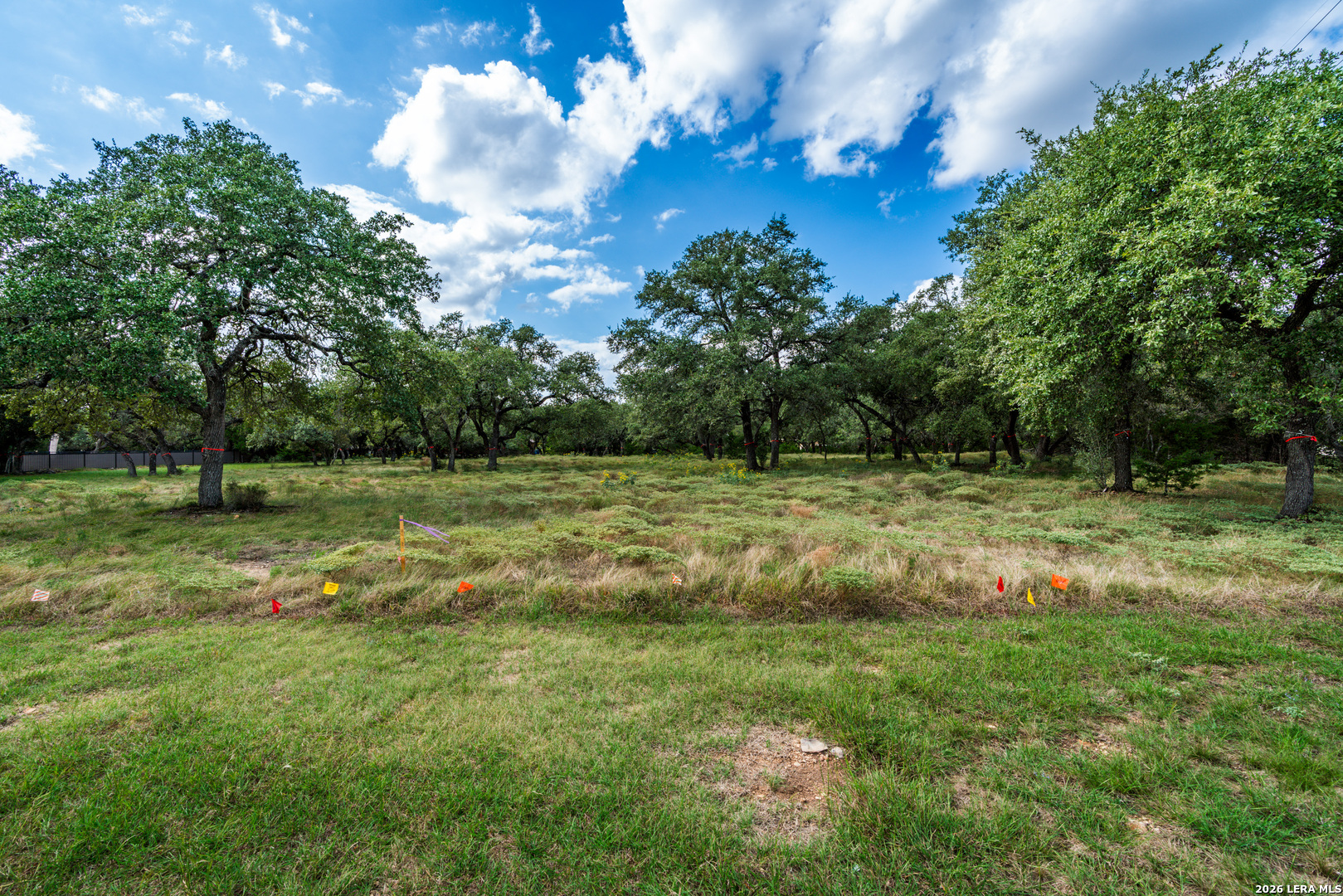 23407 Osceola Bluff San Antonio TX 78261